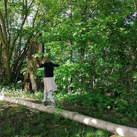 Im Fachwerk Mit Bergblick In Alleinlage Und Grossem Garten Im Allgaeu, Infrarotkabine Апартаменты *