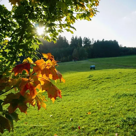 Im Fachwerk Mit Bergblick In Alleinlage Und Grossem Garten Im Allgaeu, Infrarotkabine * Humberg