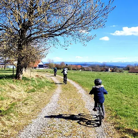 Im Fachwerk Mit Bergblick In Alleinlage Und Grossem Garten Im Allgaeu, Infrarotkabine