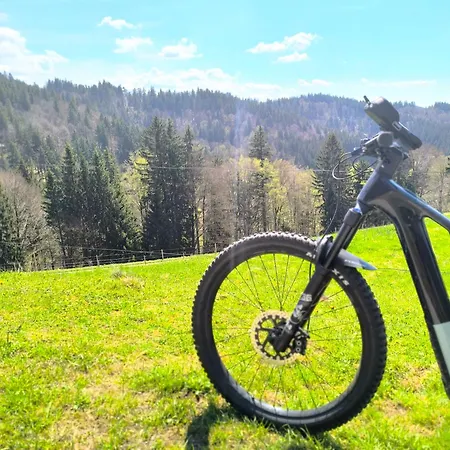 Im Fachwerk Mit Bergblick In Alleinlage Und Grossem Garten Im Allgaeu, Infrarotkabine Апартаменты Humberg