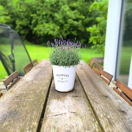 Im Fachwerk Mit Bergblick In Alleinlage Und Grossem Garten Im Allgaeu, Infrarotkabine *