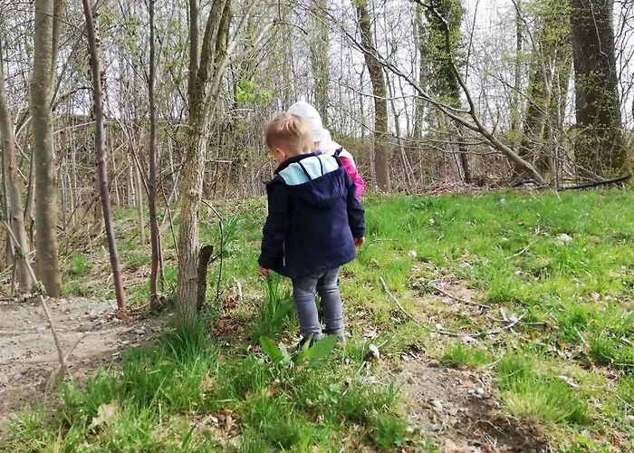 5sterne Im Fachwerk Mit Bergblick In Alleinlage Und Grossem Garten, Infrarotkabine شقة *