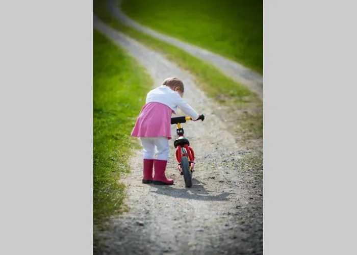 شقة 5sterne Im Fachwerk Mit Bergblick In Alleinlage Und Grossem Garten, Infrarotkabine