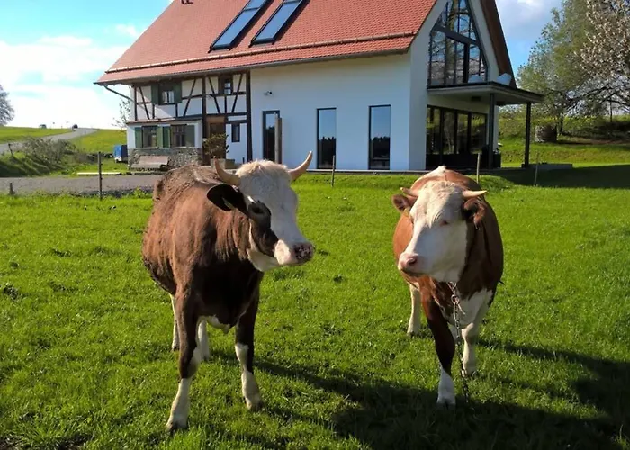 5sterne Im Fachwerk Mit Bergblick In Alleinlage Und Grossem Garten, Infrarotkabine شقة