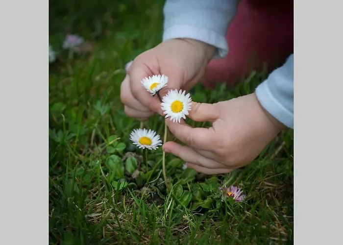 5sterne Im Fachwerk Mit Bergblick In Alleinlage Und Grossem Garten, Infrarotkabine شقة *