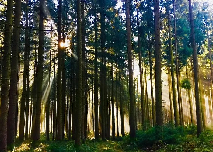 شقة 5sterne Im Fachwerk Mit Bergblick In Alleinlage Und Grossem Garten, Infrarotkabine *