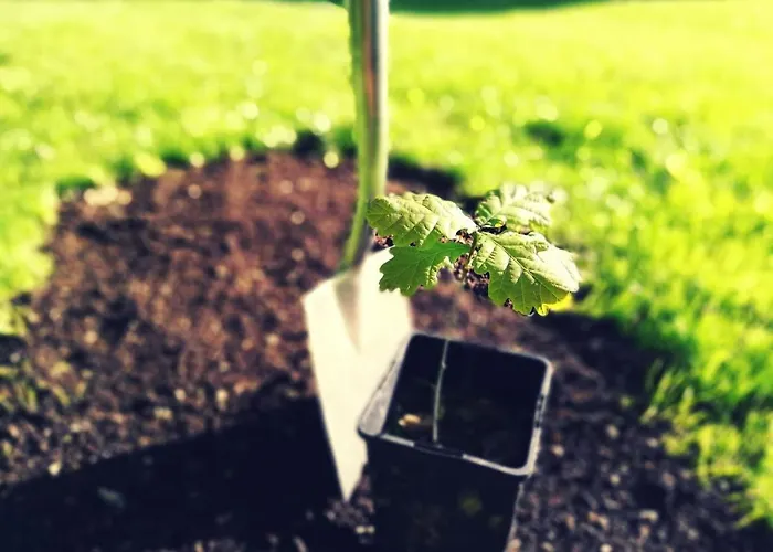 5sterne Im Fachwerk Mit Bergblick In Alleinlage Und Grossem Garten, Infrarotkabine Humberg
