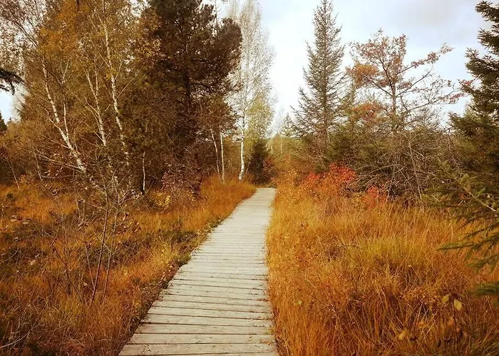 5sterne Im Fachwerk Mit Bergblick In Alleinlage Und Grossem Garten, Infrarotkabine شقة *