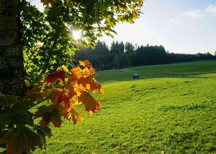 5sterne Im Fachwerk Mit Bergblick In Alleinlage Und Grossem Garten, Infrarotkabine * Humberg