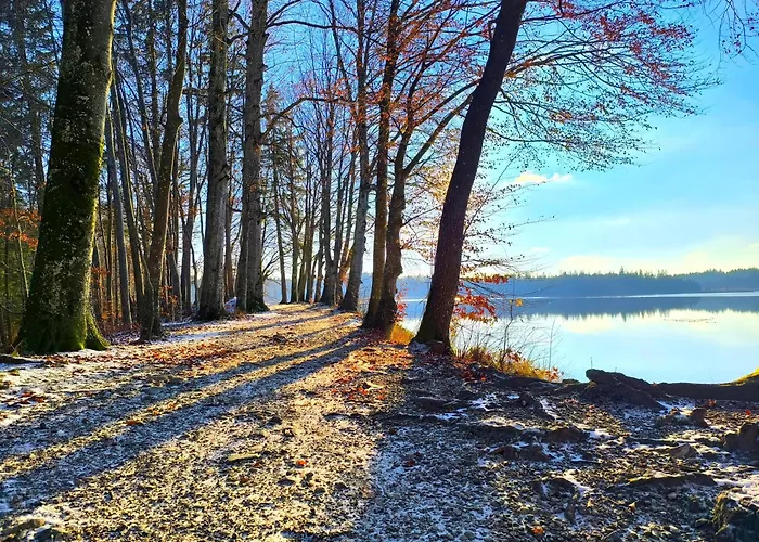 5sterne Im Fachwerk Mit Bergblick In Alleinlage Und Grossem Garten, Infrarotkabine Humberg